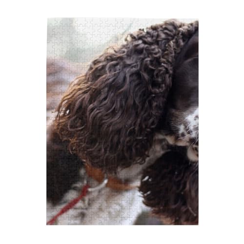 Puzzle 500 Teile für Erwachsene Familien Puzzlespiel für die ganze Familie Anspruchsvolle Puzzles,English Cocker Spaniel Bräunlich-Weiße Lockige Hunde Puzzle 500 Teile für Erwachsene Familien Puzzlespiel für die ganze Familie Anspruchsvolle Puzzles,English Cocker Spaniel Bräunlich-Weiße Lockige Hunde von Hyaszst