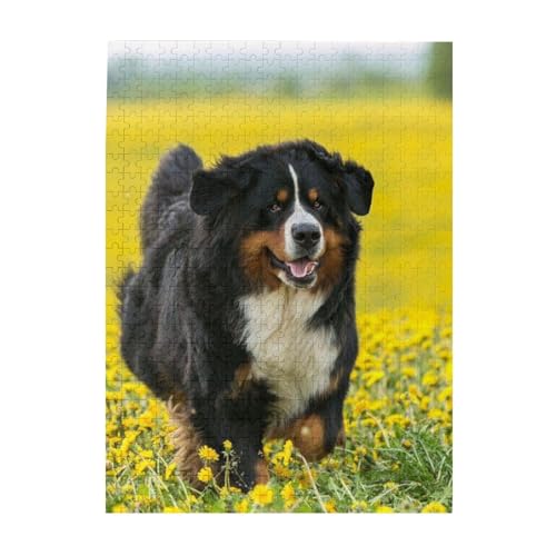 Puzzle 500 Teile für Erwachsene Familien Puzzlespiel für die ganze Familie Anspruchsvolle Puzzles,Glücklicher Berner Sennenhund von Hyaszst