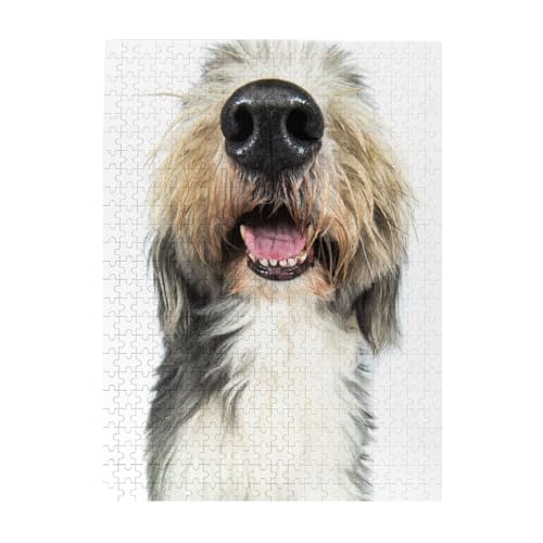 Puzzle 500 Teile für Erwachsene Familien Puzzlespiel für die ganze Familie Anspruchsvolle Puzzles,Hund Bearded Collie Lustige Nase Puzzle 500 Teile für Erwachsene Familien Puzzlespiel für die ganze Familie Anspruchsvolle Puzzles,Hund Bearded Collie Lustige Nase von Hyaszst