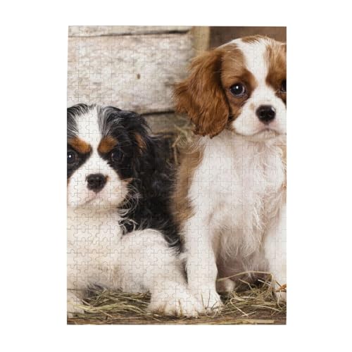 Puzzle 500 Teile für Erwachsene Familien Puzzlespiel für die ganze Familie Anspruchsvolle Puzzles,Kleine Cavalier King Charles Spaniel-Welpen Puzzle 500 Teile für Erwachsene Familien Puzzlespiel für die ganze Familie Anspruchsvolle Puzzles,Kleine Cavalier King Charles Spaniel-Welpen von Hyaszst