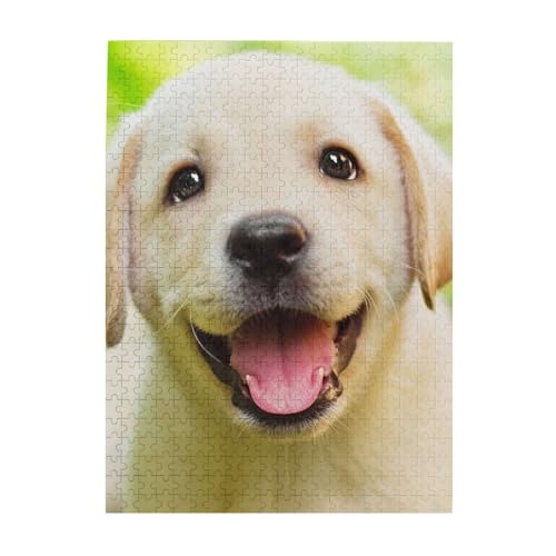 Puzzle 500 Teile für Erwachsene Familien Puzzlespiel für die ganze Familie Anspruchsvolle Puzzles,Labrador Retriever Welpe Puzzle 500 Teile für Erwachsene Familien Puzzlespiel für die ganze Familie Anspruchsvolle Puzzles,Labrador Retriever Welpe von Hyaszst