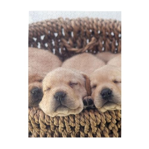 Puzzle 500 Teile für Erwachsene Familien Puzzlespiel für die ganze Familie Anspruchsvolle Puzzles,Labradors Kleine Welpen Golden Retriever Puzzle 500 Teile für Erwachsene Familien Puzzlespiel für die ganze Familie Anspruchsvolle Puzzles,Labradors Kleine Welpen Golden Retriever von Hyaszst