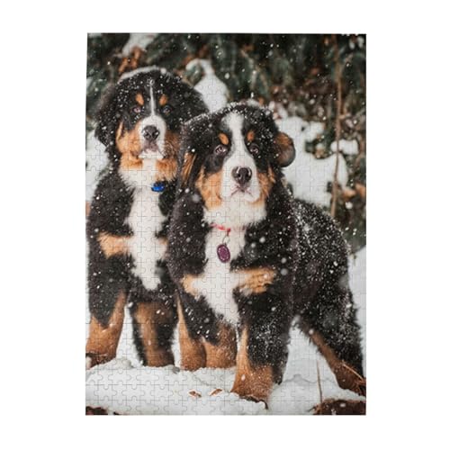 Puzzle 500 Teile für Erwachsene Familien Puzzlespiel für die ganze Familie Anspruchsvolle Puzzles,Lustiger Berner Sennenhund von Hyaszst