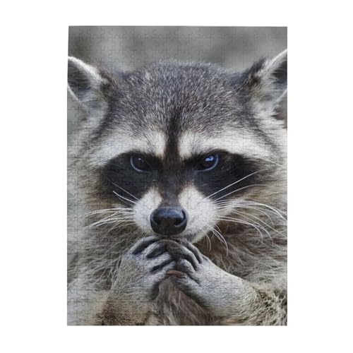 Puzzle 500 Teile für Erwachsene Familien Puzzlespiel für die ganze Familie Anspruchsvolle Puzzles,Süßer Waschbär Puzzle 500 Teile für Erwachsene Familien Puzzlespiel für die ganze Familie Anspruchsvolle Puzzles,Süßer Waschbär von Hyaszst