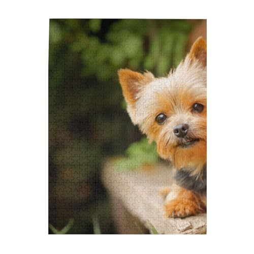 Puzzle 500 Teile für Erwachsene Familien Puzzlespiel für die ganze Familie Anspruchsvolle Puzzles,Yorkshire Terrier Bokeh Süße Hunde Wand von Hyaszst