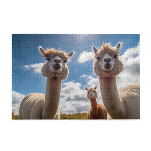 Puzzles1000 Teile Hytter Alpaka Muster Pädagogische Intellektuelle Holzpuzzles Lustige Puzzles Stressabbau-Spiel Puzzles1000 Teile Hytter Alpaka Muster Pädagogische Intellektuelle Holzpuzzles Lustige Puzzles Stressabbau-Spiel von Hytter