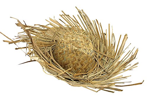 1 x Strohhut, hawaiianisches Kostüm, mit Fransen an den Rändern, Junggesellenabschied, Strandparty 1 x Strohhut, hawaiianisches Kostüm, mit Fransen an den Rändern, Junggesellenabschied, Strandparty von I LOVE FANCY DRESS