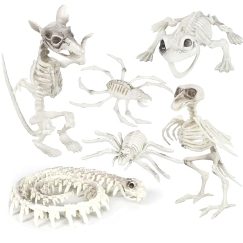 I LOVE FANCY DRESS Halloween Skelett Tiere - 6 Stück Skelett Vogel, Ratte, Frosch, Schlange, Spinne und Krabbe Set - Skelett Requisiten Gruselige Halloween Horror Party Dekor Trick or Treat von I LOVE FANCY DRESS