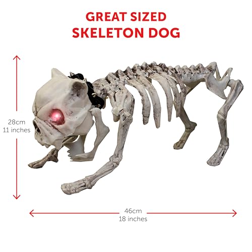 Lustiges Skelett-Kostüm für Erwachsene, schwarzer Overall mit weißem Knochen-Druck, roter Satin-Zylinderhut, Skelett-Hund, für Herren und Damen, Cartoon-Halloween, Trick or Treat Weltbuchtag Kostüm von I LOVE FANCY DRESS