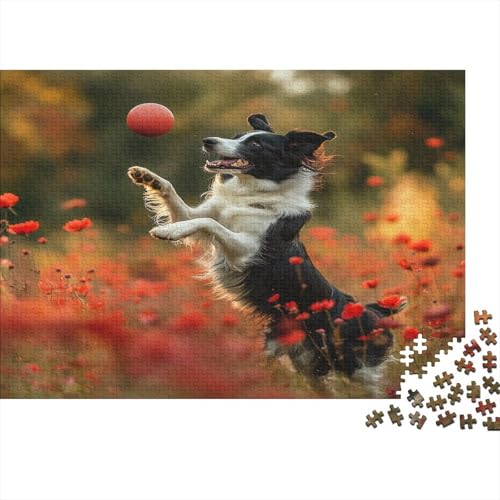 Border Collie 1000 Stück Puzzles Für Erwachsene Teenager Stress Abbauen Familien-Puzzlespiel Mit Poster in 1000-teiliges Puzzle Kinder Lernspiel Spielzeug Geschenk Puzzel 1000pcs (75x50cm) von IAEXFGHJZ
