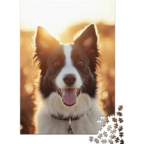 Border Collie Puzzle 1000 Teile Schwer Puzzle Spielzeug Lernspiel Impossible Herausforderungsspielzeug Für Erwachsene Und Kinder Ab 12 Jahren 1000pcs (75x50cm) von IAEXFGHJZ
