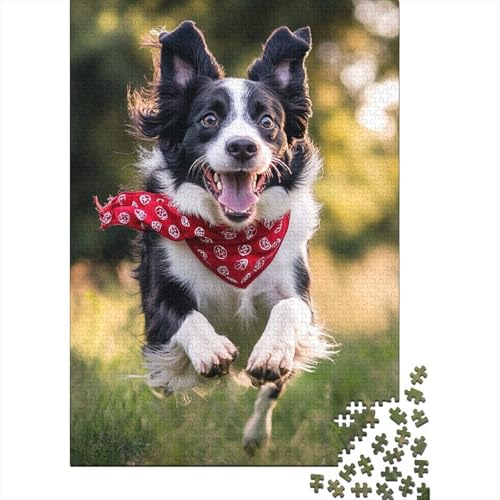 Border Collie Puzzle 1000-teilige Schwer Puzzle Spielzeug Pädagogisches Spiel Impossible Herausforderung Spielzeug Für Erwachsene Und Kinder in Bewährter 1000pcs (75x50cm) von IAEXFGHJZ