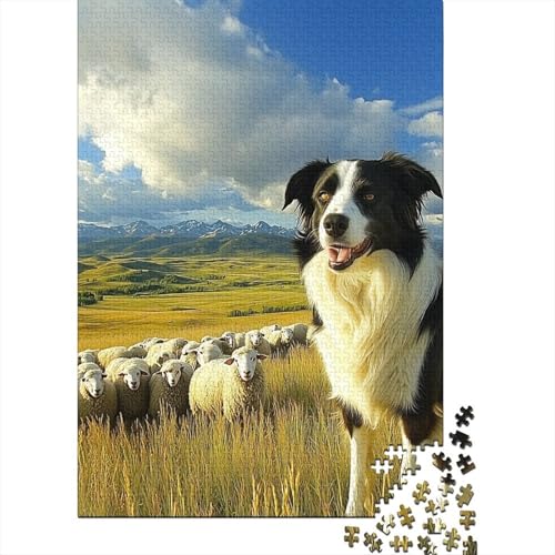 Border Collie Puzzle 1000-teilige Schwer Puzzle Spielzeug Pädagogisches Spiel Impossible Herausforderungsspielzeug Für Erwachsene Und Kinder Ab 12 Jahren 1000pcs (75x50cm) von IAEXFGHJZ