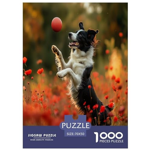 Der Border Collie Puzzle 1000 Teile Schwer Puzzle Spielzeug Pädagogisches Spiel Impossible Herausforderungsspielzeug Für Erwachsene Und Kinder in Bewährter 70x50cm/1000pcs Der Border Collie Puzzle 1000 Teile Schwer Puzzle Spielzeug Pädagogisches Spiel Impossible Herausforderungsspielzeug Für Erwachsene Und Kinder in Bewährter 70x50cm/1000pcs von IEJKLUVWX