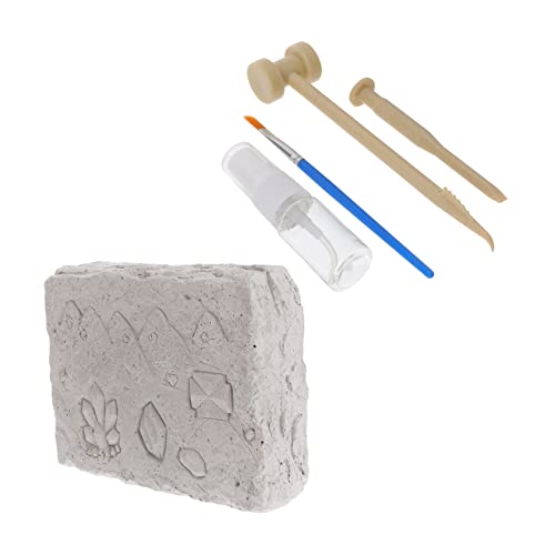 IMIKEYA 1 Satz Archäologisches Ausgrabungsspielzeug für Naturstein Grabspielzeug Interaktion und Wissensvermittlung für Outdoor Aktivitäten für Jungen IMIKEYA 1 Satz Archäologisches Ausgrabungsspielzeug für Naturstein Grabspielzeug Interaktion und Wissensvermittlung für Outdoor Aktivitäten für Jungen von IMIKEYA