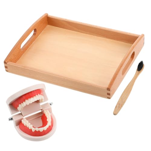 IMIKEYA 1 Satz Holzspielzeug zum Zähneputzen für Pädagogisches Zahnhygiene Holztablett für Intelligentes und Lernen Zufällige Farbe IMIKEYA 1 Satz Holzspielzeug zum Zähneputzen für Pädagogisches Zahnhygiene Holztablett für Intelligentes und Lernen Zufällige Farbe von IMIKEYA