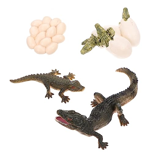 IMIKEYA 1satz Lebenszyklus Tierfiguren Für Vorschulbildung Teiliges Modell Für Fördert Kreativität Und Verständnis Der Tierentwicklung Für Kleine IMIKEYA 1satz Lebenszyklus Tierfiguren Für Vorschulbildung Teiliges Modell Für Fördert Kreativität Und Verständnis Der Tierentwicklung Für Kleine von IMIKEYA