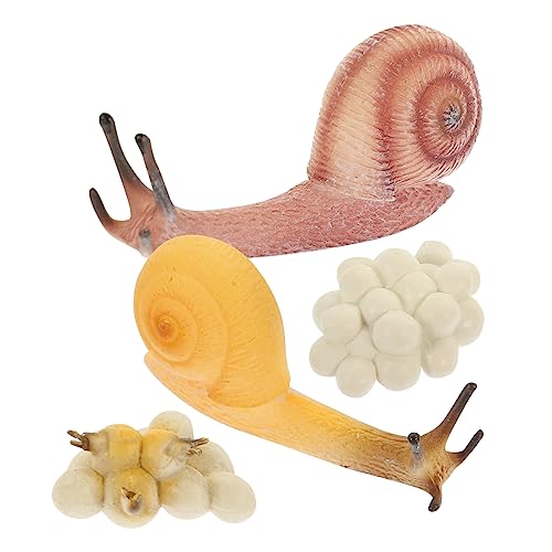 IMIKEYA 1 Satz Lebenszyklus von Schneckenwachstumsmodell für Kreatives Lernspielzeug zur Kognitiven Entwicklung Neugierde über Naturwissenschaften IMIKEYA 1 Satz Lebenszyklus von Schneckenwachstumsmodell für Kreatives Lernspielzeug zur Kognitiven Entwicklung Neugierde über Naturwissenschaften von IMIKEYA