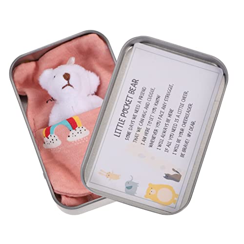 IMIKEYA 1 Satz Mini Stofftier Bär im Blechdose Niedliches Ornament für Kinderzimmer Dekoration Geschenkidee für Freunde und Familie Langlebig und Sicher für Lange Nutzung von IMIKEYA