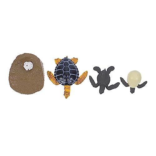 IMIKEYA 1 Satz Simulation Schildkrötenmodell Kognitives Tierwachstumszyklus für Realistisches Lernspielzeug zur des Verständnisses für Lebenszyklus von Meerestieren für Neugierige IMIKEYA 1 Satz Simulation Schildkrötenmodell Kognitives Tierwachstumszyklus für Realistisches Lernspielzeug zur des Verständnisses für Lebenszyklus von Meerestieren für Neugierige von IMIKEYA