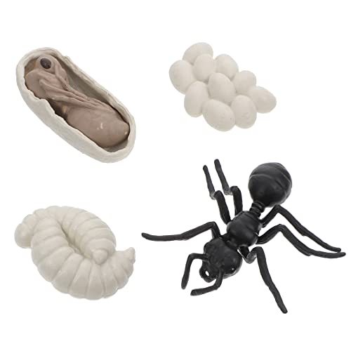 IMIKEYA 1 Satz Worker Ants Life Cycle Modellspielzeug Kognitive Figuren für Lebensechte Simulation für Lernen und Fördert Kreativität und Verständnis IMIKEYA 1 Satz Worker Ants Life Cycle Modellspielzeug Kognitive Figuren für Lebensechte Simulation für Lernen und Fördert Kreativität und Verständnis von IMIKEYA