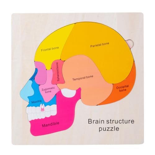 IMIKEYA 1 Set Gehirnstruktur Puzzle Kleinkindspielzeug Gehirnstruktur Für Gehirnpuzzles Gehirnstruktur Für Gehirne Für Äußere Gehirnstruktur Spielzeuge Puzzle Für Holz IMIKEYA 1 Set Gehirnstruktur Puzzle Kleinkindspielzeug Gehirnstruktur Für Gehirnpuzzles Gehirnstruktur Für Gehirne Für Äußere Gehirnstruktur Spielzeuge Puzzle Für Holz von IMIKEYA