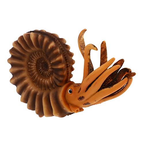 IMIKEYA Kunststoff Simulation Tier Spielzeug Nautilus-Form Meerestiermodell Tierspielzeug Dekoration Schreibtisch Decor Erkenntnis Spielzeug Kid IMIKEYA Kunststoff Simulation Tier Spielzeug Nautilus-Form Meerestiermodell Tierspielzeug Dekoration Schreibtisch Decor Erkenntnis Spielzeug Kid von IMIKEYA