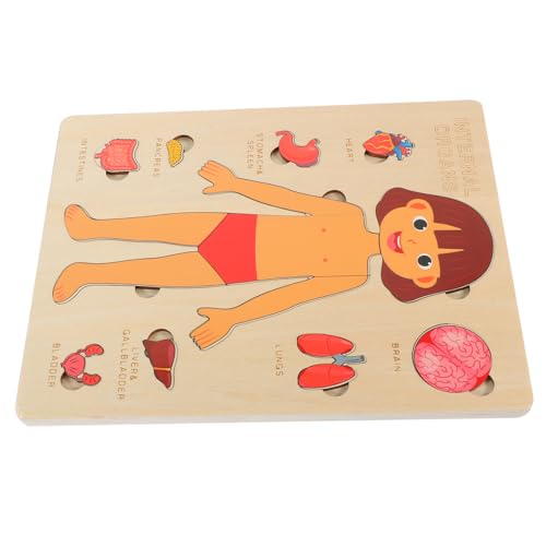 IMIKEYA 1Satz Holzkörper Puzzle Für Bildungsanatomie Puzzle Für Frühes Lernen Kognitive Entwicklung Und Menschliche Körperstruktur Für Jungen Und Stabil Und Langlebig IMIKEYA 1Satz Holzkörper Puzzle Für Bildungsanatomie Puzzle Für Frühes Lernen Kognitive Entwicklung Und Menschliche Körperstruktur Für Jungen Und Stabil Und Langlebig von IMIKEYA