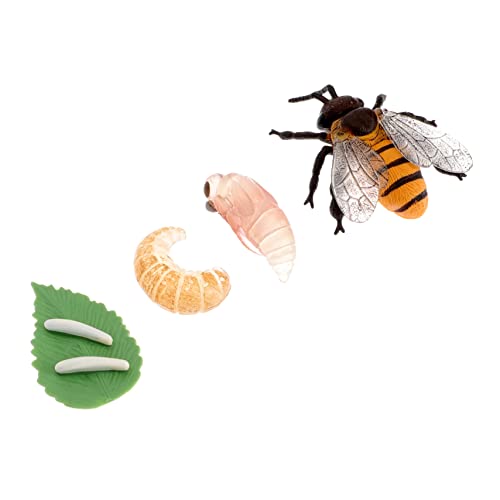 IMIKEYA 1Satz Insektenwachstumsmodell Krebs Bildungsfigur für Kreative Spiele für Schulprojekte und Eltern Interaktion Fördert über Lebenszyklen Geschenkidee IMIKEYA 1Satz Insektenwachstumsmodell Krebs Bildungsfigur für Kreative Spiele für Schulprojekte und Eltern Interaktion Fördert über Lebenszyklen Geschenkidee von IMIKEYA