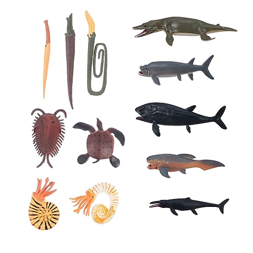IMIKEYA 1Satz Vorzeitliche Meereslebewesen Modelle Imitierte Tierfiguren Für Lernspielzeug Und Kunsthandwerk Mit Meereslebewesen Für Kreative Bastelprojekte von IMIKEYA