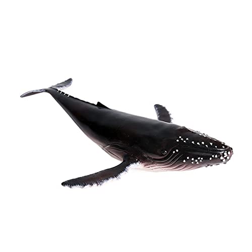 IMIKEYA 1Stück Simuliertes Humpback Wal Modell Realistisches Tier Figuren Kreative Dekoration Für Zuhause Büro Hochwertige Kunststoff Wal Figur von IMIKEYA