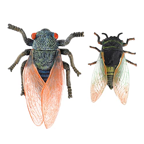 IMIKEYA 2 Stück Tiermodell- Simulation Zikade Lernspielzeug kinderspielzeug Insektenspielzeug Insektenfiguren Zikaden für Plastik IMIKEYA 2 Stück Tiermodell- Simulation Zikade Lernspielzeug kinderspielzeug Insektenspielzeug Insektenfiguren Zikaden für Plastik von IMIKEYA