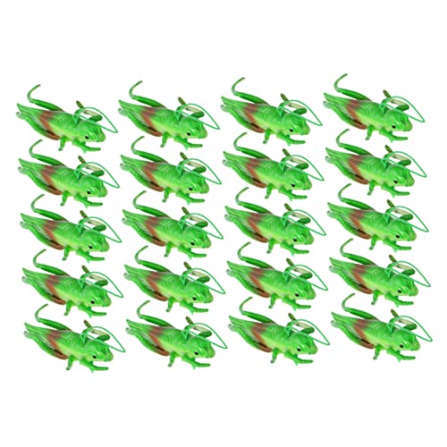 IMIKEYA 20 Stück Teiliges von Grünen Modellspielzeugen Realistische Kognitive Modelle von Schaben für Biologischen Bildung und Kreativität für Unterricht und Dekoration IMIKEYA 20 Stück Teiliges von Grünen Modellspielzeugen Realistische Kognitive Modelle von Schaben für Biologischen Bildung und Kreativität für Unterricht und Dekoration von IMIKEYA