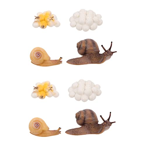 IMIKEYA Schnecken-lebenszyklus-Figuren – 2er-Pack – Lebenszyklus- Für Kinder – Lernspielzeug-Set Aus Kunststoff IMIKEYA Schnecken-lebenszyklus-Figuren – 2er-Pack – Lebenszyklus- Für Kinder – Lernspielzeug-Set Aus Kunststoff von IMIKEYA