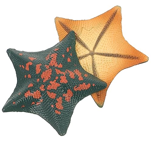 IMIKEYA 2Stücke Kleines Seesternmodell Dekorative Delicate Sea Star Für Kompaktes Meereslebewesen Modell Pädagogisches Accessoire Für Jungen IMIKEYA 2Stücke Kleines Seesternmodell Dekorative Delicate Sea Star Für Kompaktes Meereslebewesen Modell Pädagogisches Accessoire Für Jungen von IMIKEYA