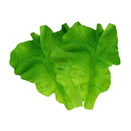 IMIKEYA 3 Stück Salatblattmodell grüne deko künstliche Pflanzen Kunststoff Gemüse Kunstpflanzen Kunstliche Pflanzen künstlicher Salat lebensechtes grünes Gemüse Plastik Green IMIKEYA 3 Stück Salatblattmodell grüne deko künstliche Pflanzen Kunststoff Gemüse Kunstpflanzen Kunstliche Pflanzen künstlicher Salat lebensechtes grünes Gemüse Plastik Green von IMIKEYA