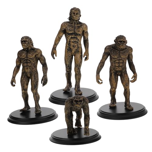IMIKEYA 4stücke Teiliges Menschliche Evolution Modelle Detaillierte Simulation Von Affen Sapiens Lernspielzeug Für Pädagogisches Aus Wiederverwendbarem Kunststoff von IMIKEYA