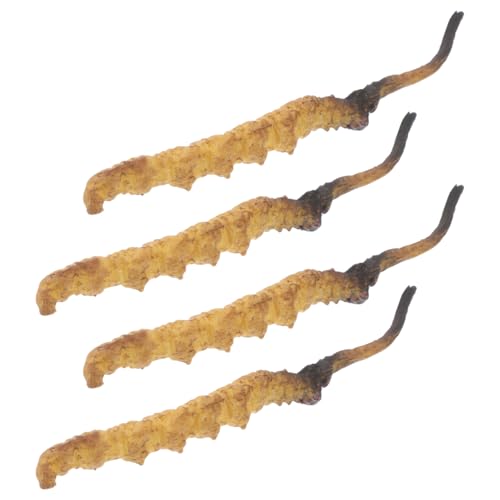 IMIKEYA 4 Stück Cordyceps -Modell Arztkoffer medizinische Spielzeugartikel Modell der chinesischen Medizin Arztzubehör Arzt Rollenspiel Requisiten Plastik IMIKEYA 4 Stück Cordyceps -Modell Arztkoffer medizinische Spielzeugartikel Modell der chinesischen Medizin Arztzubehör Arzt Rollenspiel Requisiten Plastik von IMIKEYA