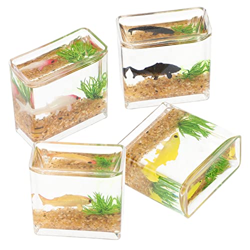 IMIKEYA 4 Stück Puppenhaus Bücher Mini-Aquarium- Miniatur-Handwerk Aquarium Mit Fischmodell Mini-hausdekoration Miniatur-zubehör Miniatur Fischglas Fischtankmodell Plastik IMIKEYA 4 Stück Puppenhaus Bücher Mini-Aquarium- Miniatur-Handwerk Aquarium Mit Fischmodell Mini-hausdekoration Miniatur-zubehör Miniatur Fischglas Fischtankmodell Plastik von IMIKEYA