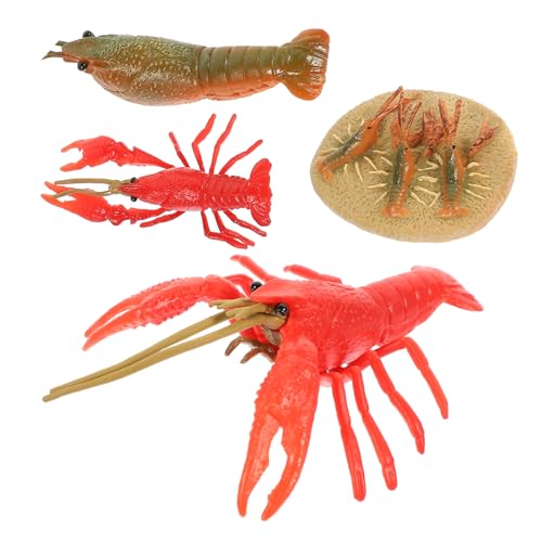 IMIKEYA 4Stücke Teiliges Hummer Wachstumszyklus Modellset Kognitive Tierfiguren für Lernspielzeug Umweltbildung und Dekoration im Kinderzimmer von IMIKEYA