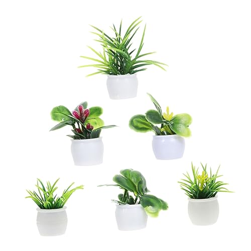IMIKEYA 6Stücke Pflanzen Lebensechte Bonsai Ornamente für Mini Hausdekoration Künstliche Topfpflanzen Figuren für Puppenhaus und Mikrolandschaften IMIKEYA 6Stücke Pflanzen Lebensechte Bonsai Ornamente für Mini Hausdekoration Künstliche Topfpflanzen Figuren für Puppenhaus und Mikrolandschaften von IMIKEYA