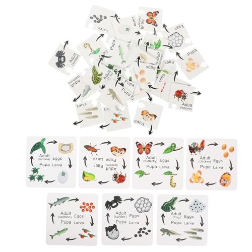 IMIKEYA 7 Sets Insekten Kognitionsspielzeug Vorschul Lernpuzzles Kleinkinder Kognitionsspielzeug Puzzle Kognitionsspielzeug Lernspielzeug Kleinkind Puzzle Das Tier Kinderpuzzle Aus Holz IMIKEYA 7 Sets Insekten Kognitionsspielzeug Vorschul Lernpuzzles Kleinkinder Kognitionsspielzeug Puzzle Kognitionsspielzeug Lernspielzeug Kleinkind Puzzle Das Tier Kinderpuzzle Aus Holz von IMIKEYA