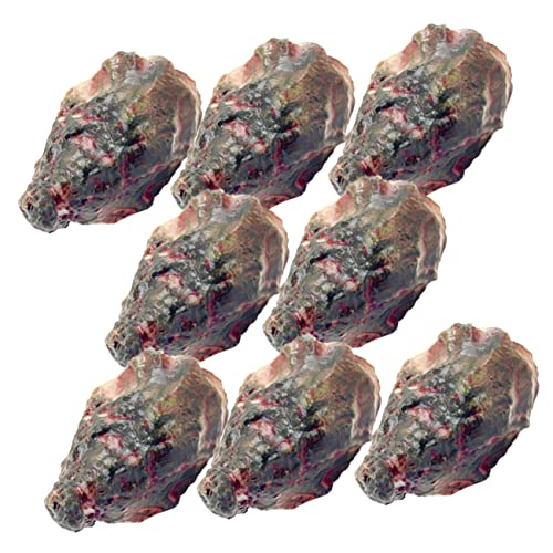 IMIKEYA 8 Stück Simulierte Austern Simulations Austernmodell Künstliche Austern Modell Künstliche Austern Meeresfrüchte Modell Künstliche Austern Requisite Simulations Meeresfrüchte IMIKEYA 8 Stück Simulierte Austern Simulations Austernmodell Künstliche Austern Modell Künstliche Austern Meeresfrüchte Modell Künstliche Austern Requisite Simulations Meeresfrüchte von IMIKEYA
