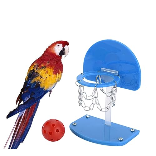 IMIKEYA Basketball -Rack - Mini- -Basketball Papageien-Vogel-Spiele Vogelspielzeug für Papageien Cockatiel - Papagei Basketballkorb Spielzeugbasketball Blau IMIKEYA Basketball -Rack - Mini- -Basketball Papageien-Vogel-Spiele Vogelspielzeug für Papageien Cockatiel - Papagei Basketballkorb Spielzeugbasketball Blau von IMIKEYA