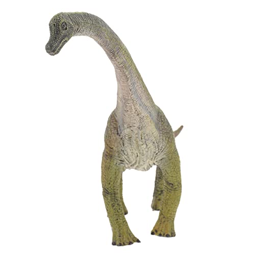 IMIKEYA Brachiosaurus Modellspielzeug Realistische Dinosaurier Figur Aus Kunststoff Für Deko Für Dinosaurier IMIKEYA Brachiosaurus Modellspielzeug Realistische Dinosaurier Figur Aus Kunststoff Für Deko Für Dinosaurier von IMIKEYA
