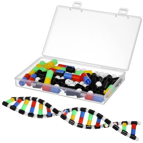 IMIKEYA DNA-Doppelhelix-Modell 3D-DNA-Molekülmodell-Kit Für Schüler Im Klassenzimmer Wissenschaft Pädagogische DNA-Struktur IMIKEYA DNA-Doppelhelix-Modell 3D-DNA-Molekülmodell-Kit Für Schüler Im Klassenzimmer Wissenschaft Pädagogische DNA-Struktur von IMIKEYA