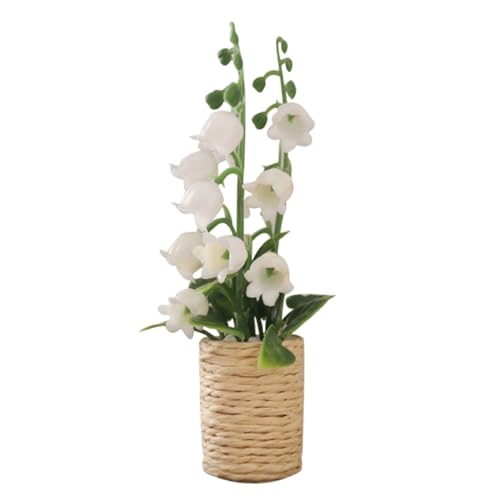 IMIKEYA Hyazinthe Grüne Pflanze Miniatur -topfpflanze Kleiner Pflanzentopf Miniatur Blumentopfmodell Miniatur-blumentopf Miniatur Bonsai Kleiner Bonsai Kleiner Blumentopf Plastik von IMIKEYA