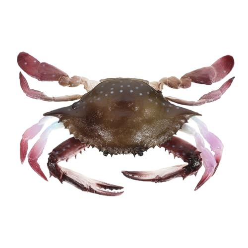 IMIKEYA Künstliche Krabbenfigur aus Realistisches Meereslebewesen für Rollenspiele Lernspielzeug und Dekoration im Aquarium für Kreative Spielstunden von IMIKEYA