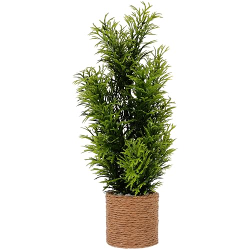 IMIKEYA Miniatur-Topfgrünpflanzen Mini-Topfpflanzen Miniaturbausätze Figuren Miniaturfigur Miniatur-Bonsai Mini -Hausdekoration Mini-Hausversorgung Miniaturdekor Plastik Coffee IMIKEYA Miniatur-Topfgrünpflanzen Mini-Topfpflanzen Miniaturbausätze Figuren Miniaturfigur Miniatur-Bonsai Mini -Hausdekoration Mini-Hausversorgung Miniaturdekor Plastik Coffee von IMIKEYA