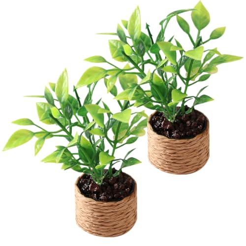 IMIKEYA 2er-Pack Künstliche Miniatur-zimmerpflanzen Dekoration Für Küche Büro Schreibtisch Dekoration IMIKEYA 2er-Pack Künstliche Miniatur-zimmerpflanzen Dekoration Für Küche Büro Schreibtisch Dekoration von IMIKEYA